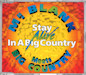 StayAliveInABigCountry CD Single