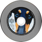 Why The Long Face CD