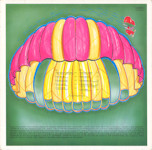 The Flyers LP Rear Cover