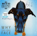 Why The Long Face (2024 Record Store Day re-release)