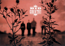 Fragile Thing Postcard (1999)